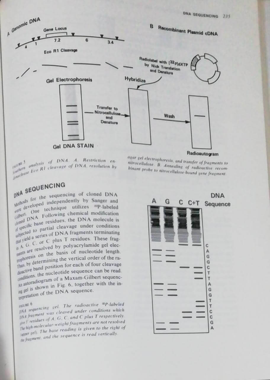 Principles of internal medicine