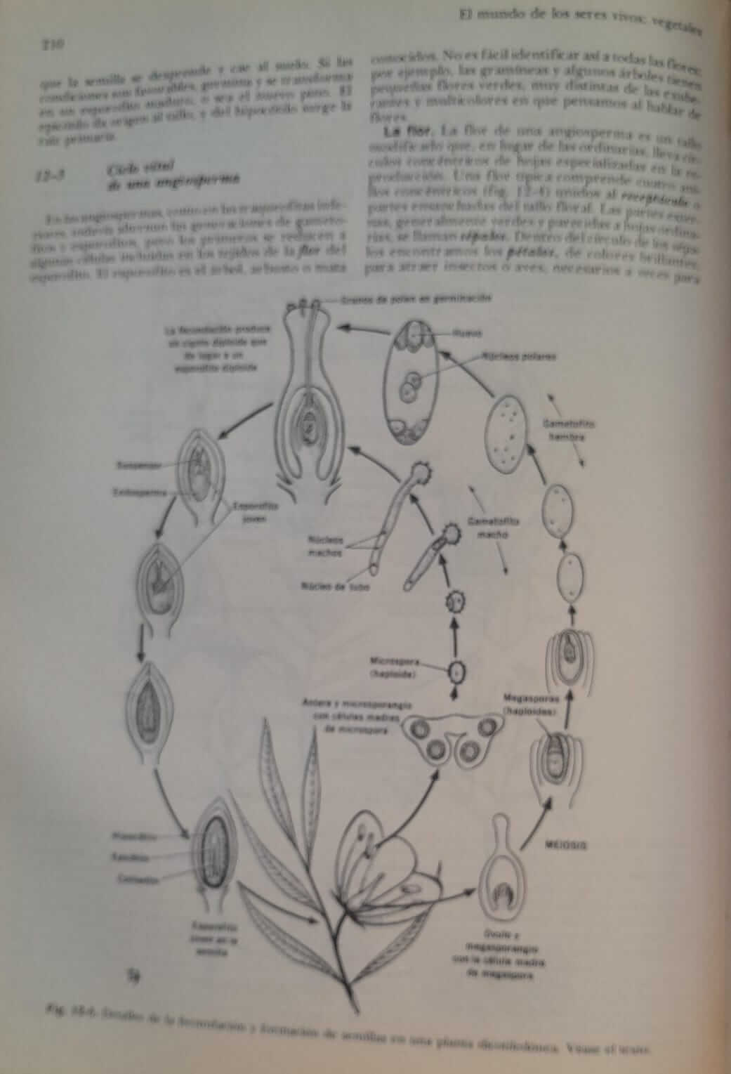 Biología sexta edición